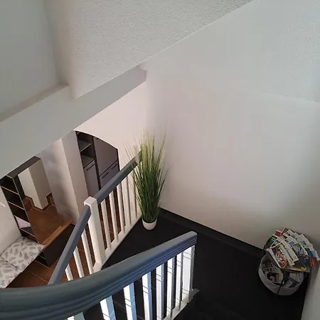 Carolagruen * Auerbach (Vogtland)